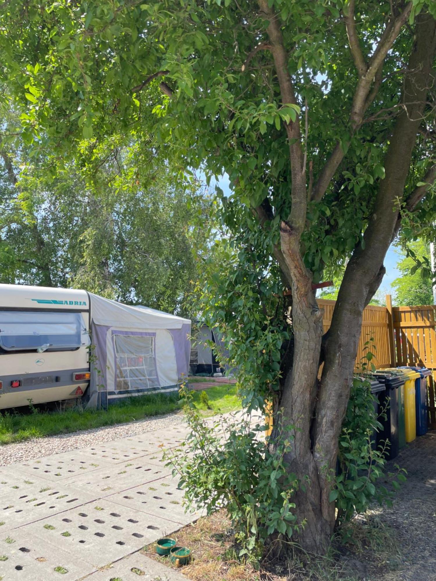 Готель Sonata Camp Ястарня Екстер'єр фото